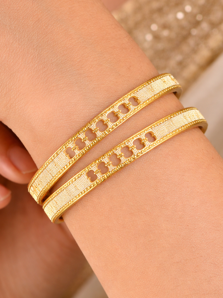 Textured Dual Design Bangle Set for Women